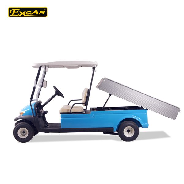 2 Seater Hotel Buggy Car , Electric Utility Golf Carts 100% Waterproof Accelerator