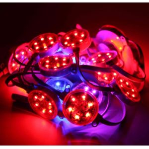 На открытом воздухе 40мм 50мм СМД3535 ДМС цифров РГБ привели пиксел ИП67 водоустойчивый