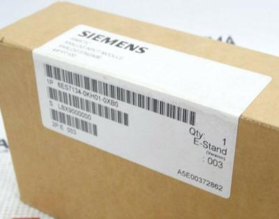 6ES7134 0KH01 0XB0 Spare Simatic Dp Electronic SIEMENS Analog Input Output Module