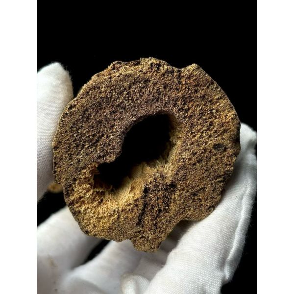 High grade OUD Agarwood resin suitable for crafting exclusive perfumes and therapeutic aromatic products internationally