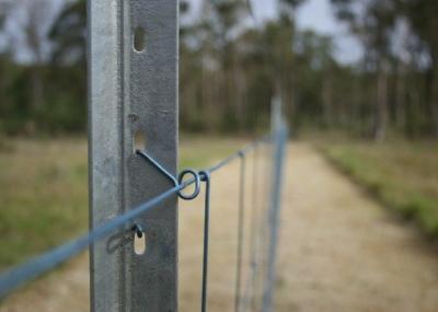 OHSAS 18001 cerca de piquete Posts da estrela de 2007 explorações agrícolas