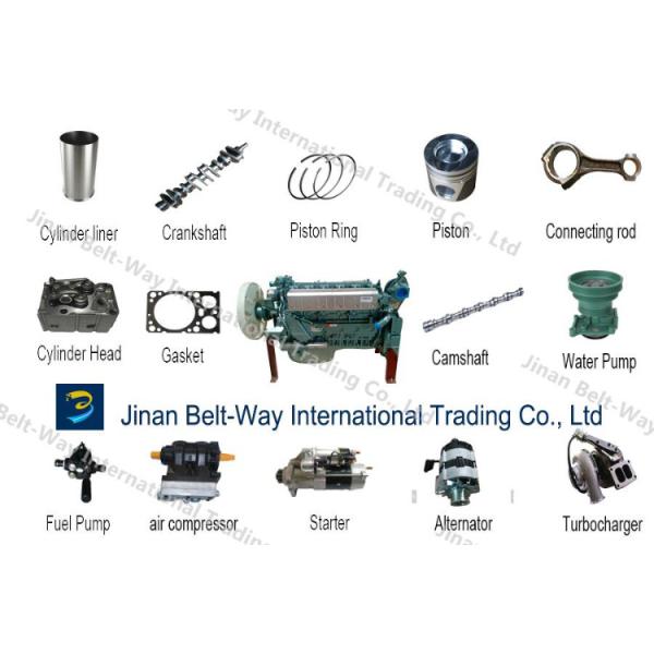 Sinotruk HOWO WG9231342006 Tambour de frein arrière avec support de paiement en USD