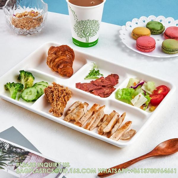 5 Compartment Plates, 125 Pack Disposable Paper Plates, Biodegradable Sugarcane Plates, Eco-Friendly School