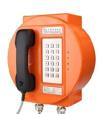 Outdoor IP66 Explosion Proof Telephone with Aluminium Alloy Enclosure and Strong Noise Canceling for Hazardous Areas