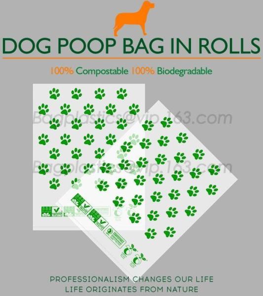 Wholesale disposable gloves, plastic gloves, biodegradable gloves, compostable gloves, bio gloves, corn starch gloves
