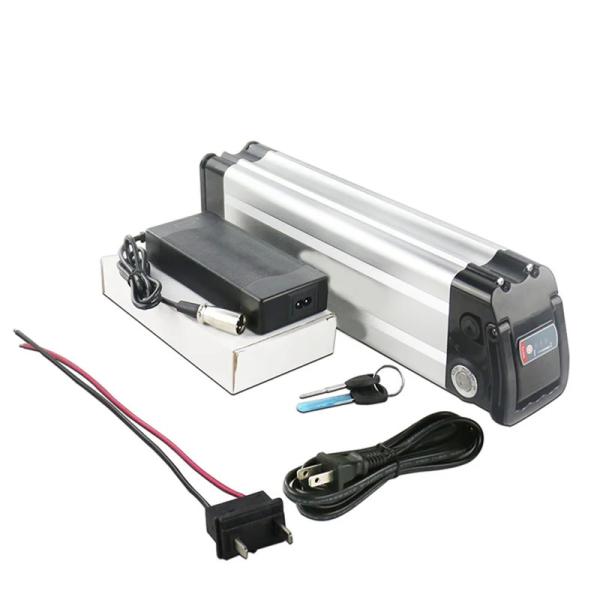 Batterie rechargeable pour bicyclettes Silverfish de 48 V pour bicyclettes électriques de 250 à 1000 W