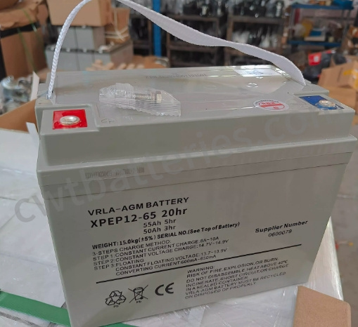 Batterie de fourchette à acide de plomb de 12 V 65 Ah pour camions industriels