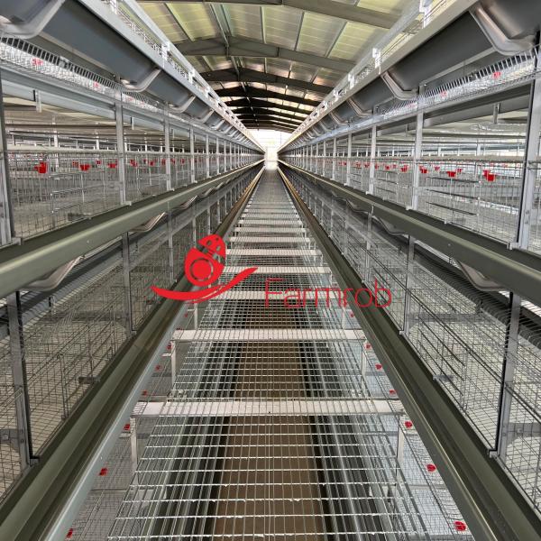 327 Cm2 Safe 6-Tier Al-Zn-Mg Poultry Cage System For Small Chicks 1800x600x450mm Dimensions