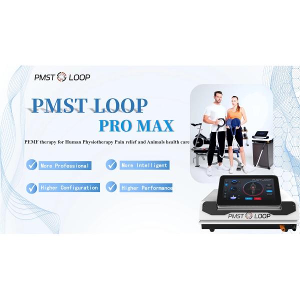 Pulsed Electromagnetic Field Reduce Inflammation Physio Magneto Pemf Magnetic Therapy Device Horse Human