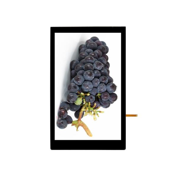 8 Inch Touch Screen Display 620 Cd/m2 1280x800 IPS Display MIPI Interface