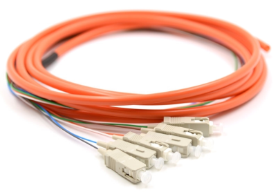 12 Fibers OM1 Multimode PVC Jacket Fiber Optic Patch Cord for High-Speed Data Transmission