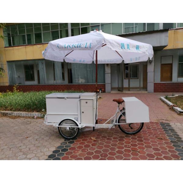 Customised Tricycle Food Cart for Good Selling Coffee Vending Cafe Bike