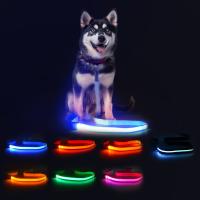 120cm Croupe à chiens à LED USB rechargeable Croupe à chiens éclairée personnalisée