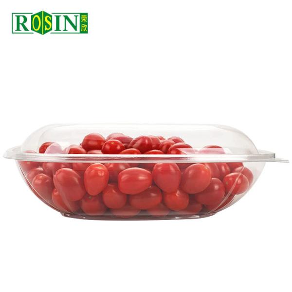 Food Grade PET Plastic Fruit Packaging Cold Resistance Disposable Salad Bowls