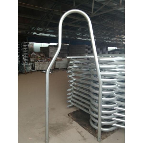 Pre Galvanized Steel Free Stalls For Dairy Cows , Free Stall Dividers Anti Corrosion