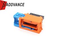 Couleur orange de connecteurs des véhicules à moteur d'ODM 20 Pin Female FCI d'OEM 211PC209S4055