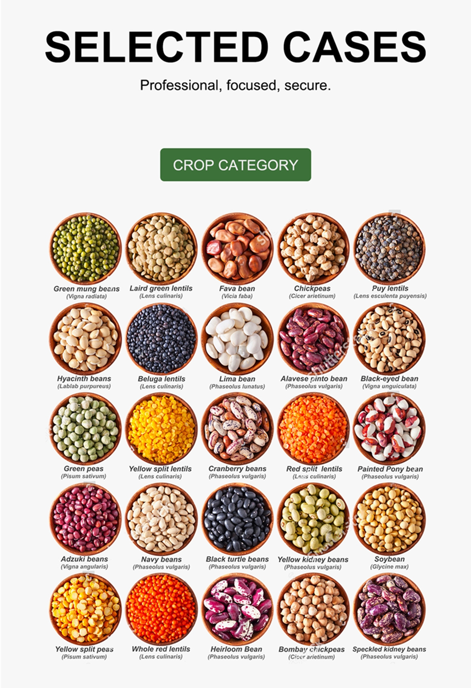 Wenyao CCD Carame Optical Parboiled Rice Separation Machine Single Chutes Color Long Grain Parboiled Rice Color Sorter Machine