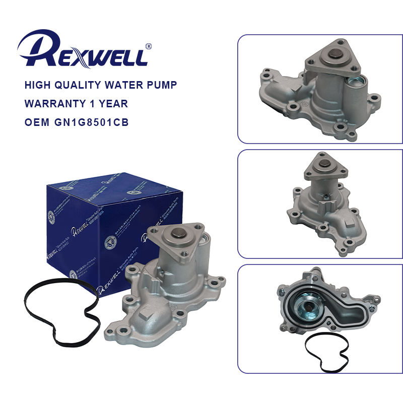 GN1G8501CB GN1Z8501E GN1Z8501DC Engine Water Pump Assembly Coolant Pump For Ford Ecosport FOCUS ESCORT 1.5