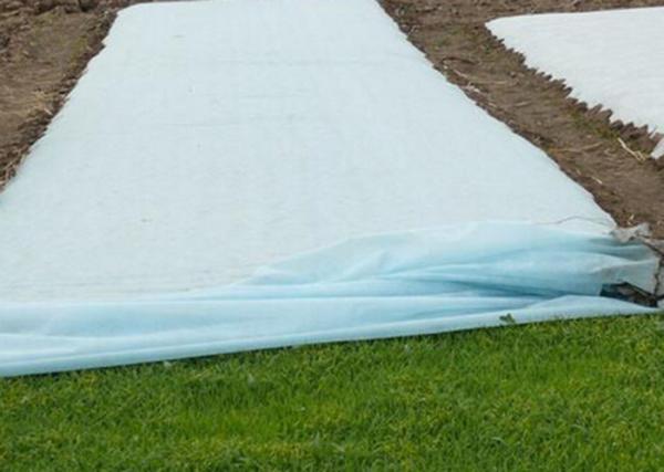 Eco-friendly Biodegradable Landscape Fabric Nonwoven for Agriculture
