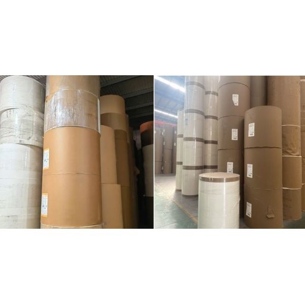 Craft Material PE/PLA coated paper roll Free Sample OEM FDA Quality for heavy Weight Customized Color