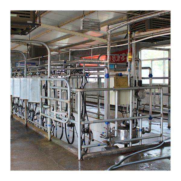 Cow 60 points Herringbone Milking Parlor Automatic Clean