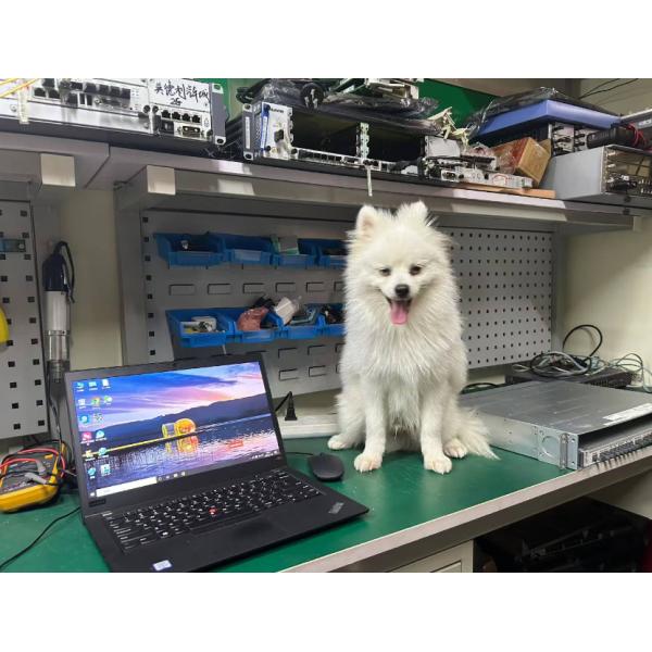 EX2300 24T DC Layer 3 Non-PoE Switch with Telecom DC Input original new in stock