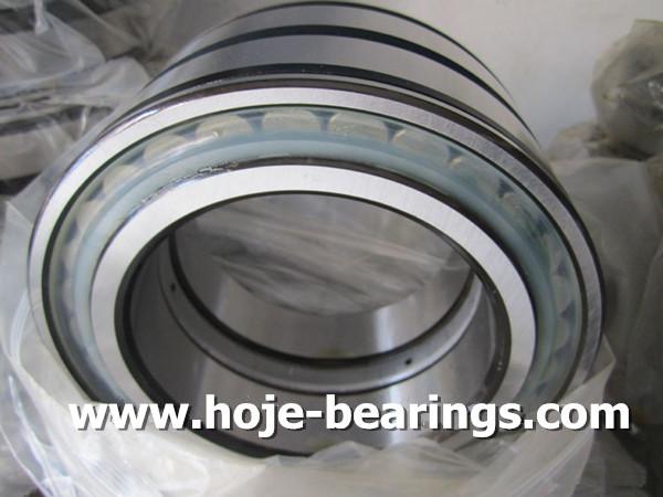 INA SL045013PP Cylindrical Roller Bearing with Double Row,65mm*100mm*46mm