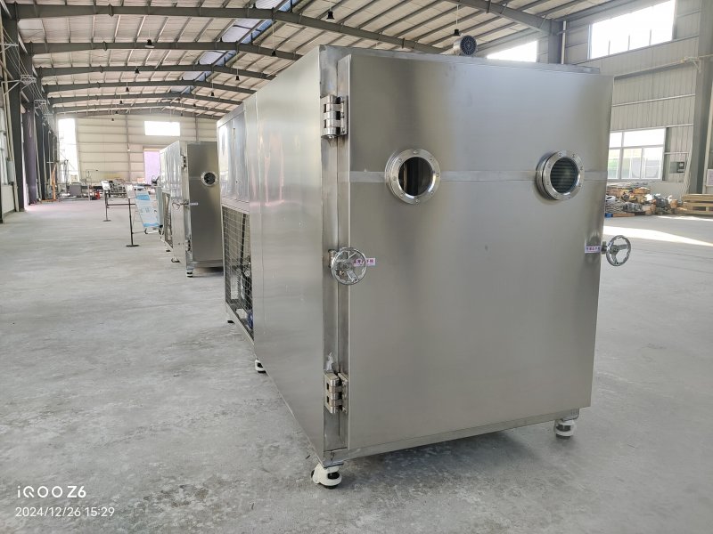 High Capacity Food Vacuum Freeze Dryer 100 Kg/Batch Freeze Dry Fruit Machine