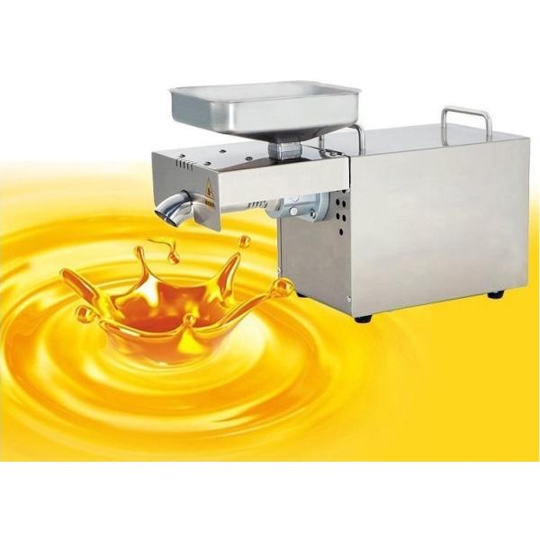 Машина извлечения прессы домашнего арахиса машины извлечения масла завода холодная