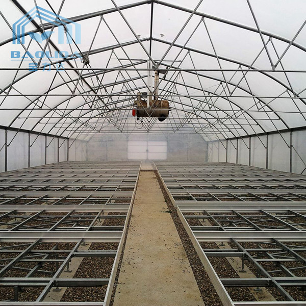 Обрабатывать землю парник тоннеля Singlespan с поливом и Hydroponic растущей системой