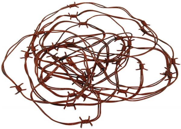 25kg Galvanised Steel 1.6mm Security Barbed Wire And 1.5mm Thick Barbs Ideal