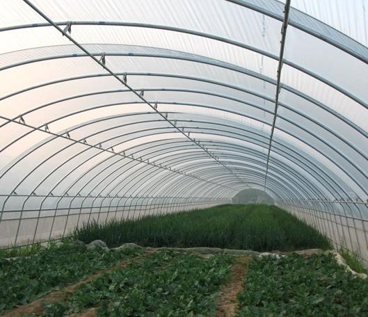 Double-Film Hydroponic System for Cucumber Package Size 12.09cm * 2.35cm * 2.39cm