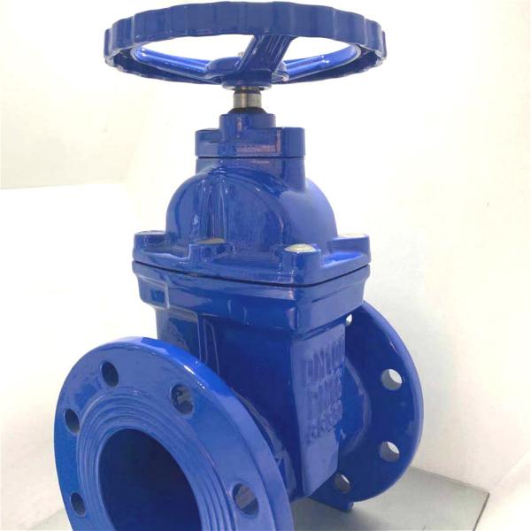 DI Ductile Iron 10 24 Inch  WCB Stainless Steel DIN F4 Resilient Seated non-rising Stem Full Port Sluice Gate Valve