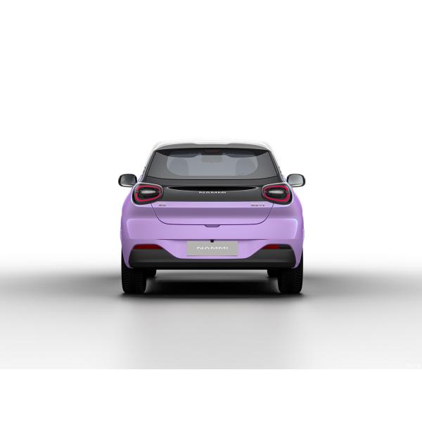Max Smart Energy Vehicle Dongfeng Nami 01 2024 430 with 4030*1810*1570 Body Structure