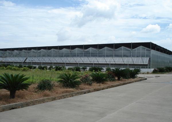 Polycarbonate Multi Span Greenhouse For Hot Climate 12 Meter Width