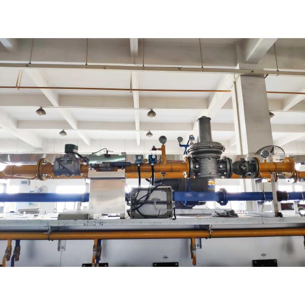 Las galletas de la cámara de la anchura de 200 grados 1400m m hacen un túnel el horno de la pizza