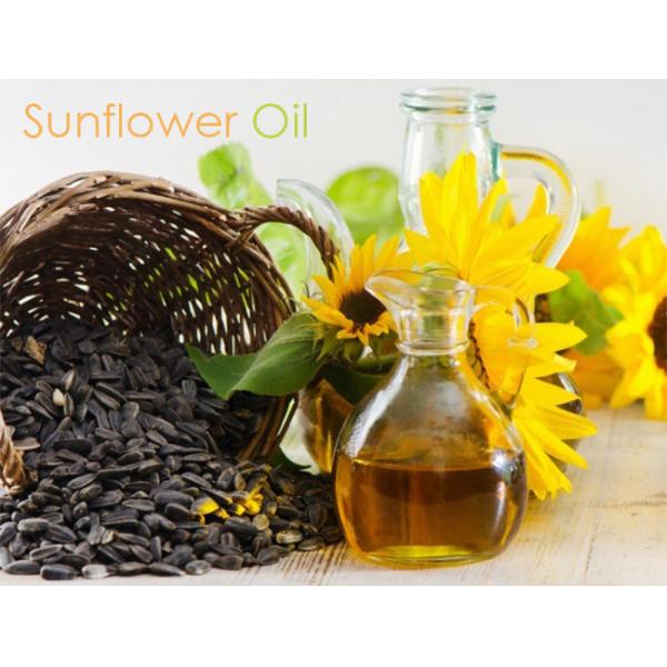 SS сушат завод фракционировки пищевого масла оборудования фракционировки