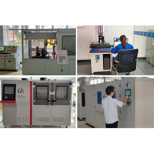 Guangdong Xin Tongshi Group Co., Ltd.