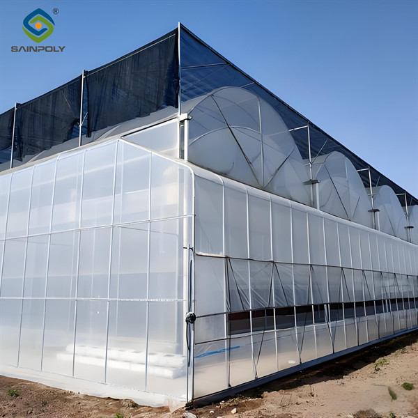 Serre résistante à la chaleur Morden Multi-Span pour l'agriculture commerciale