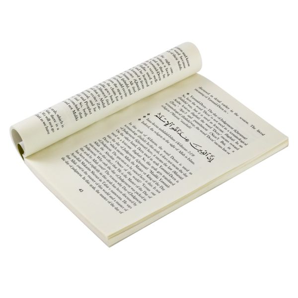 OEM Publishing Book Printing Full Color Softcover Book Printing