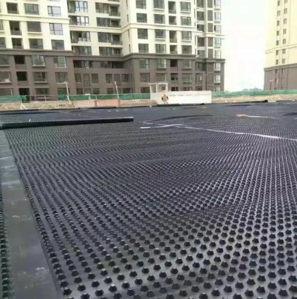 Rectangle Waterproof HDPE Drainage Board Dimple Membrane Drain Mat for Green Roof