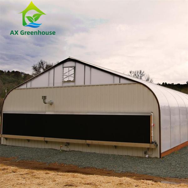 Agricultural Tunnel Fully Automated Light Deprivation Greenhouse Single span Blackout Greenhouse