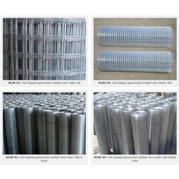 A rede de arame soldada de aço inoxidável profissional o vinil de 3/4 de polegada/Pvc revestiu 30M pelo rolo