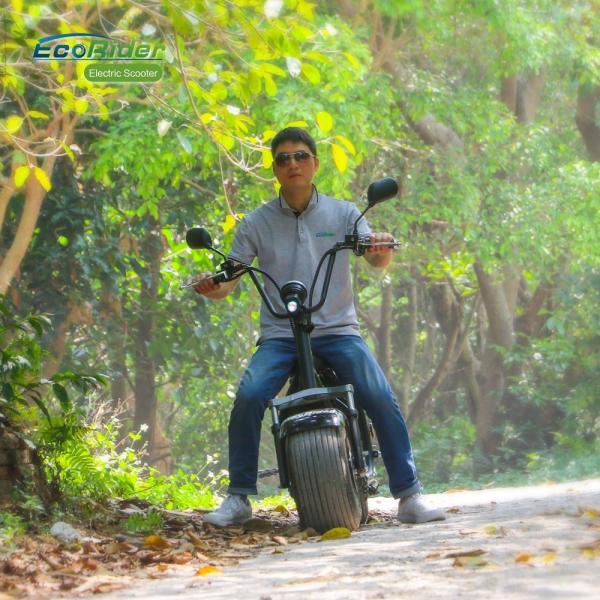 EcoRider 60v 12ah 1500 W Two Wheels Electric Scooter , 2 Wheel Motor Scooter With Removable Battery and double seat