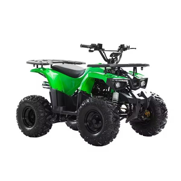 125cc Engine Quadbike ATV Motorcycle Engine 125cc for Differential Lock Unequipped