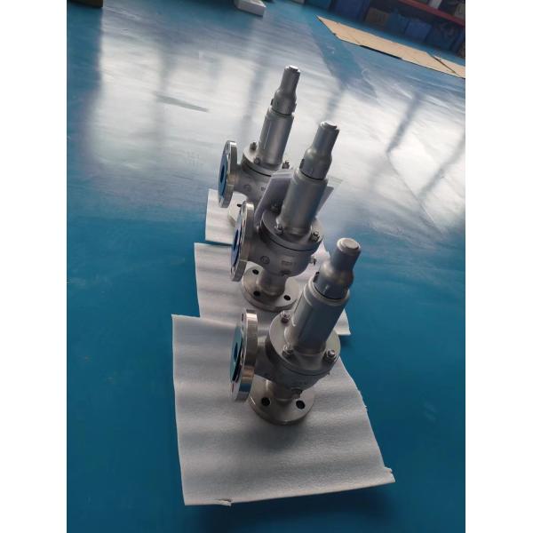 Stainless Steel Spring Type Safety Valve Full Open Natural Gas Relief Valve