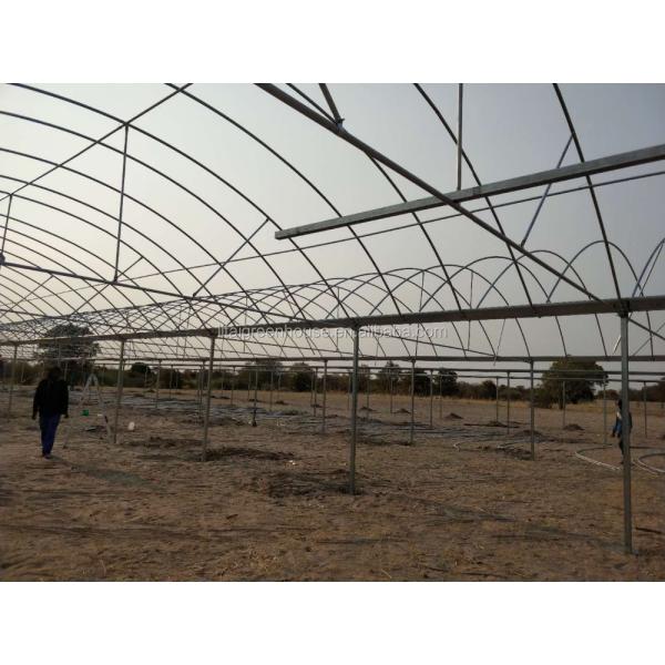 Single Layer Roof and Side Ventilation Namibia Commercial Greenhouse for Tomatoes Farming