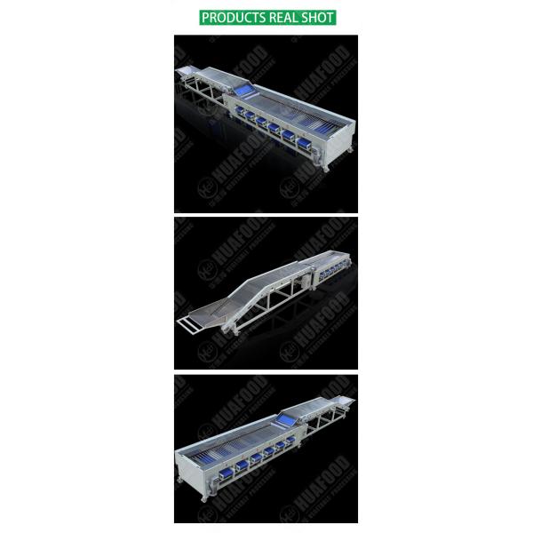 Carrot Onion Potato Grading Machine Fruit And Vegetable Sorting Machine