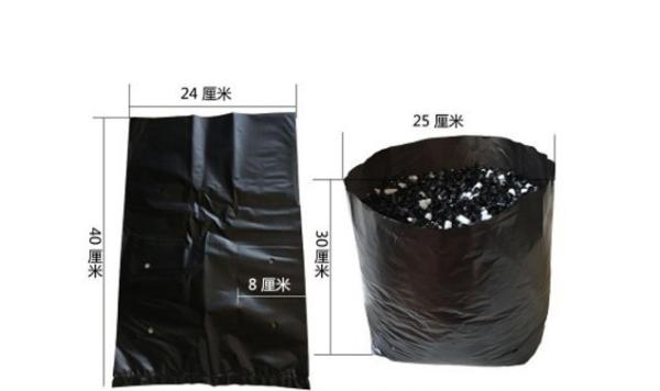 Saco de plástico para planta de jardim planta de frutas vegetais florista