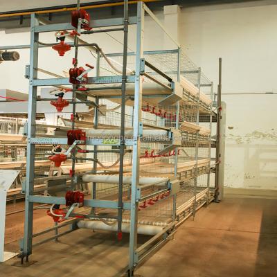 H Type 3/4/5 Tiers Battery Layer Duck Cage Breeder Duck Cages for Ducks Farm